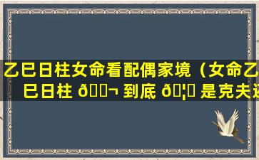 乙巳日柱女命看配偶家境（女命乙巳日柱 🐬 到底 🦍 是克夫还是旺夫）
